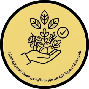ضمان تنافسي