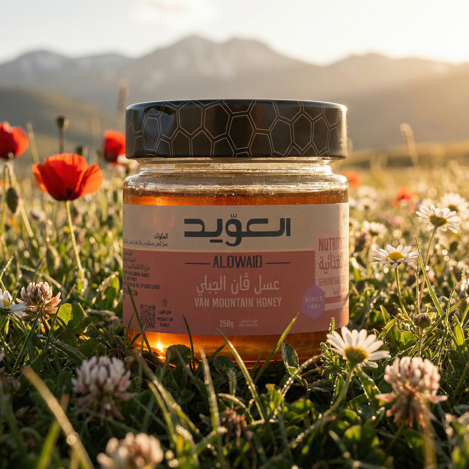 عسل فان Mountain Van Honey 250g